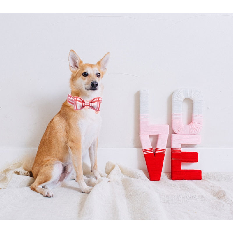 Valentines Day Dog Collar with Bow Tie