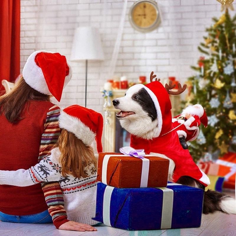 Christmas Coat with Santa Claus for Dogs