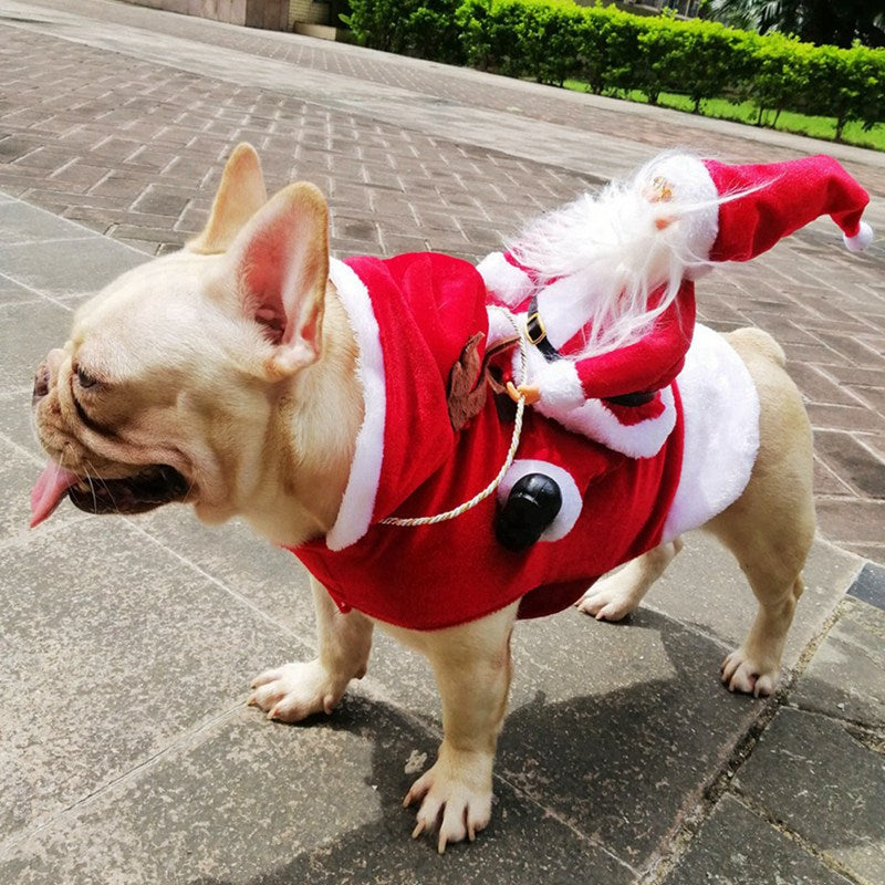 Christmas Coat with Santa Claus for Dogs