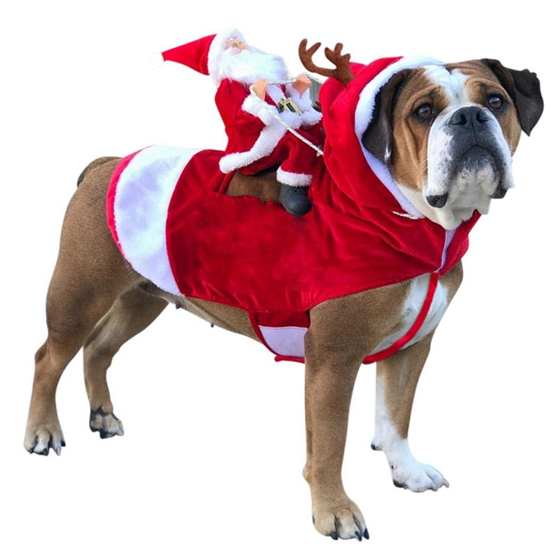 Christmas Coat with Santa Claus for Dogs