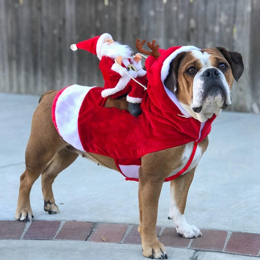 Christmas Coat with Santa Claus for Dogs