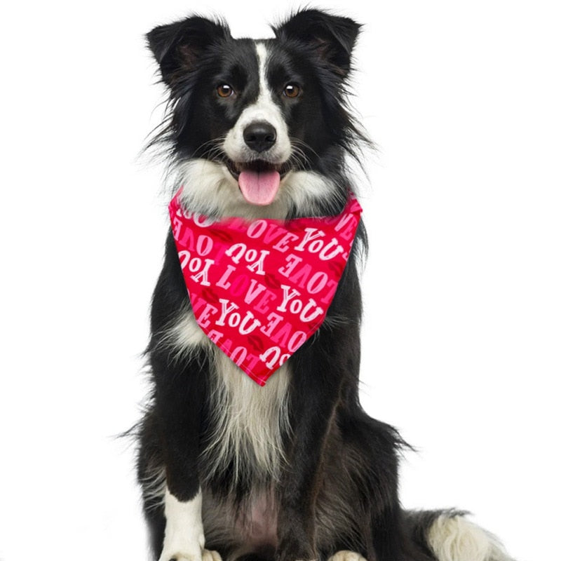 Valentines Day Dog Bandanas